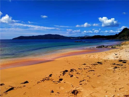 カイタイア Seascape Peninsula Bachヴィラ エクステリア 写真