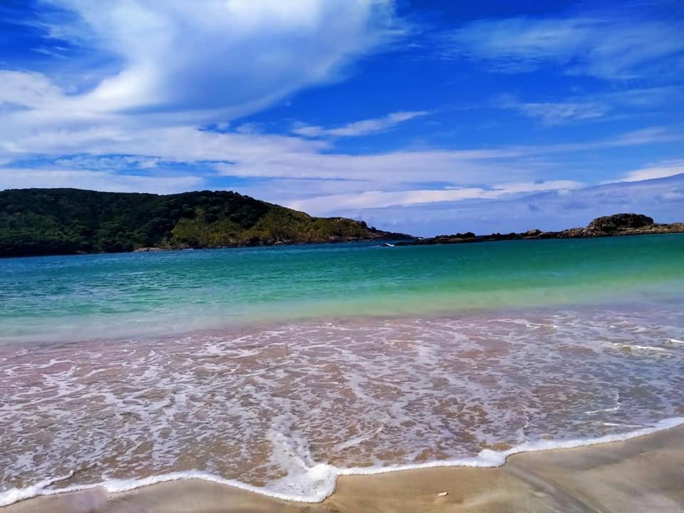 カイタイア Seascape Peninsula Bachヴィラ エクステリア 写真