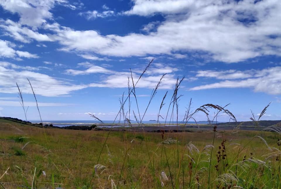 カイタイア Seascape Peninsula Bachヴィラ エクステリア 写真