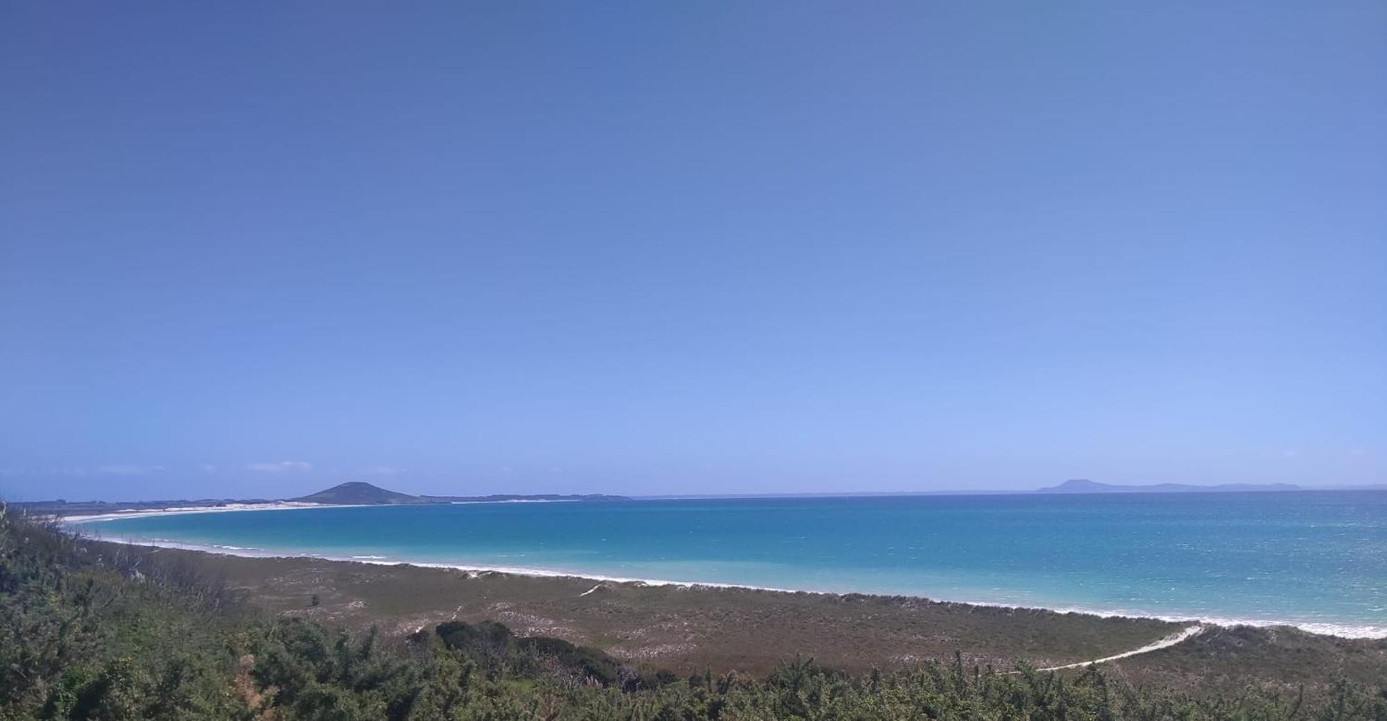 カイタイア Seascape Peninsula Bachヴィラ エクステリア 写真